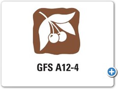 GFS-A12-4