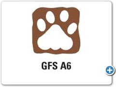 GFS-A6