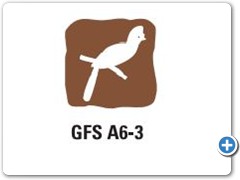 GFS-A6-3