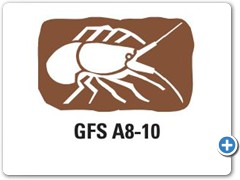 GFS-A8-10