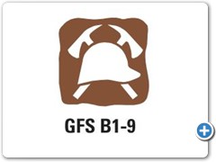 GFSB1-9