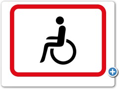 R578-Disabled-Person-Vehicle
