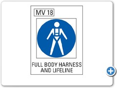 Full-Body-Harness-And-Lifeline