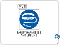 Saftey-Harnesesses-And-Lifeline